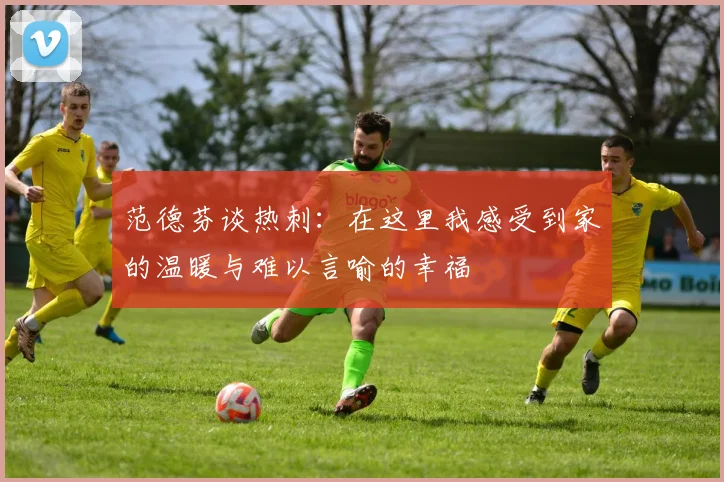 范德芬谈热刺:在这里我感受到家的温暖与难以言喻的幸福
