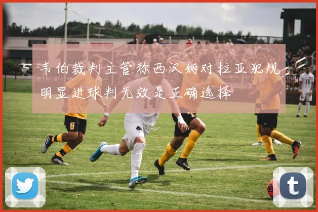 韦伯裁判主管称西汉姆对拉亚犯规明显进球判无效是正确选择